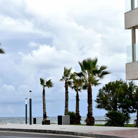 Estudio Gato Del Mar Торевиеха Екстериор снимка